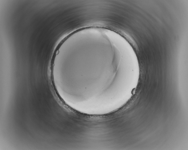 X0000111020944200907310929