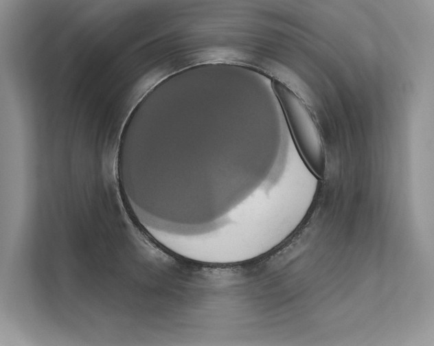 X0000111020946200907310929
