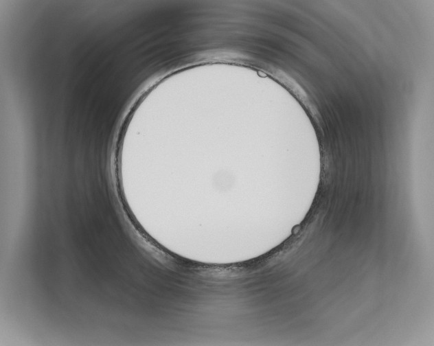 X0000111020947200907310929