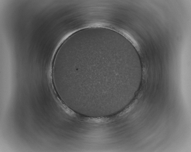 X0000111020948200907310929