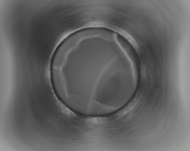X0000111020950200907310929