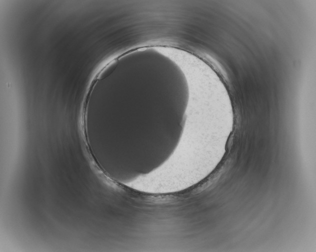 X0000111020952200907310929