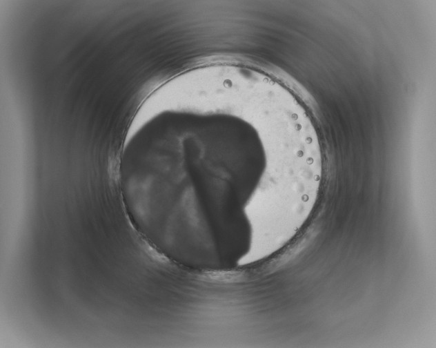 X0000111020953200907310929