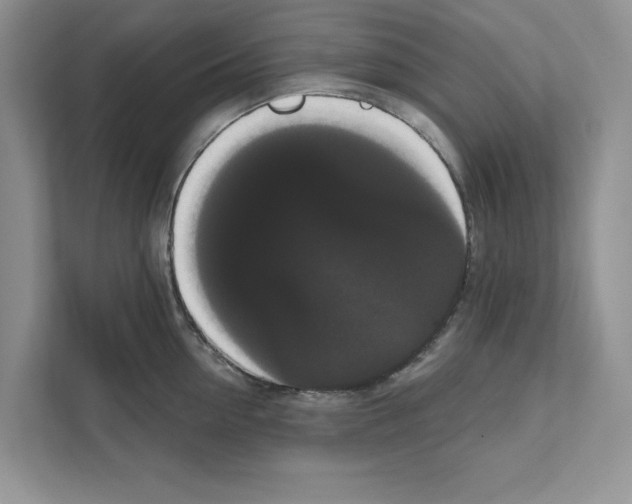 X0000111020954200907310929
