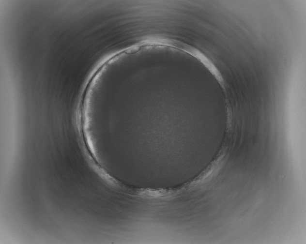 X0000111020955200907310929