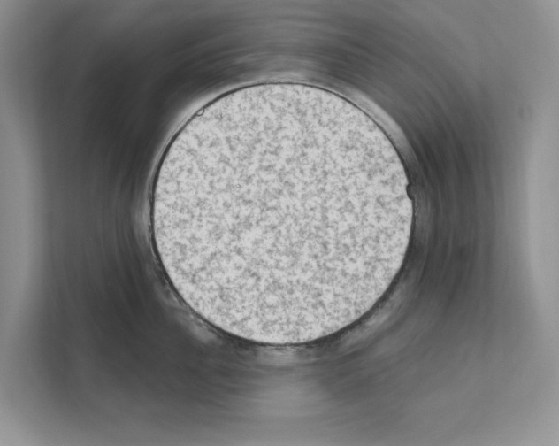 X0000111020956200907310929