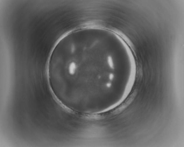 X0000111020957200907310929