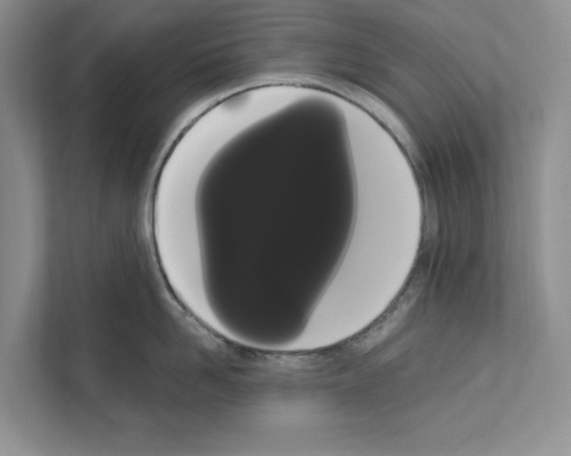 X0000111020958200907310929
