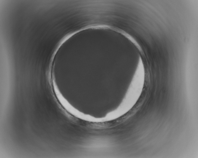 X0000111020959200907310929