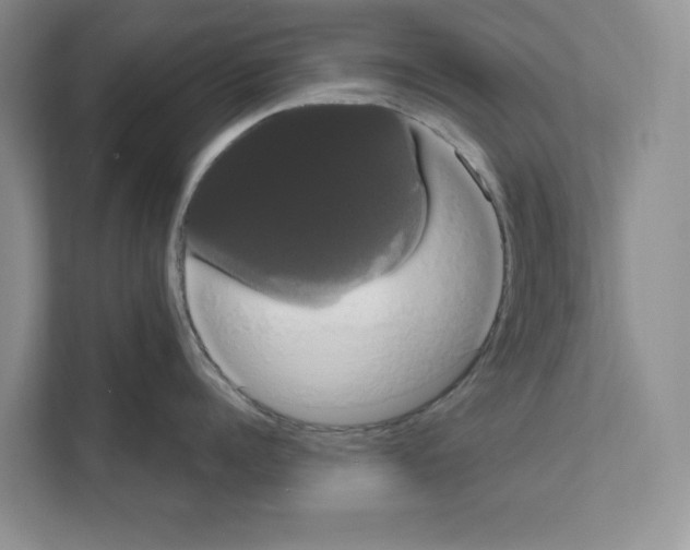 X0000111020960200907310929