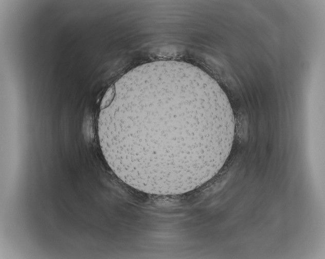 X0000111020962200907310928
