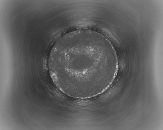 X0000111020964200907310928