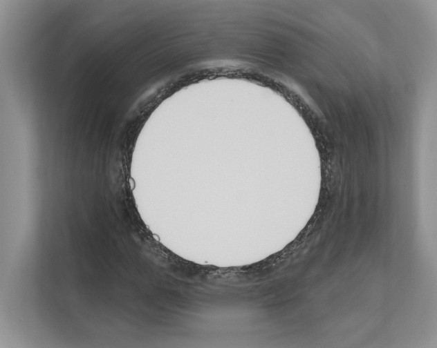 X0000111020967200907310928