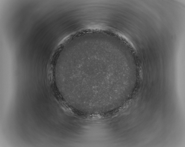 X0000111020968200907310928