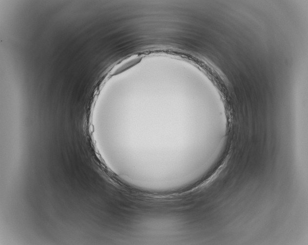 X0000111020969200907310928