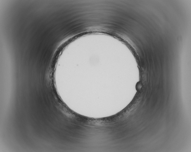 X0000111020971200907310928
