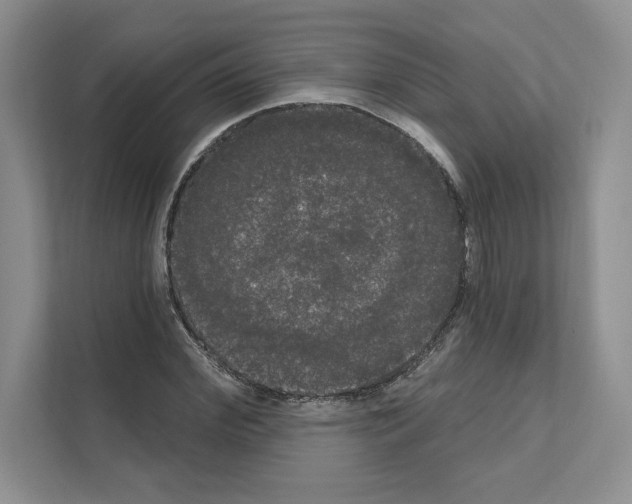 X0000111020972200907310928
