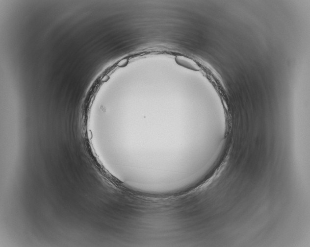 X0000111020973200907310928