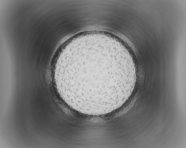 X0000111020974200907310928