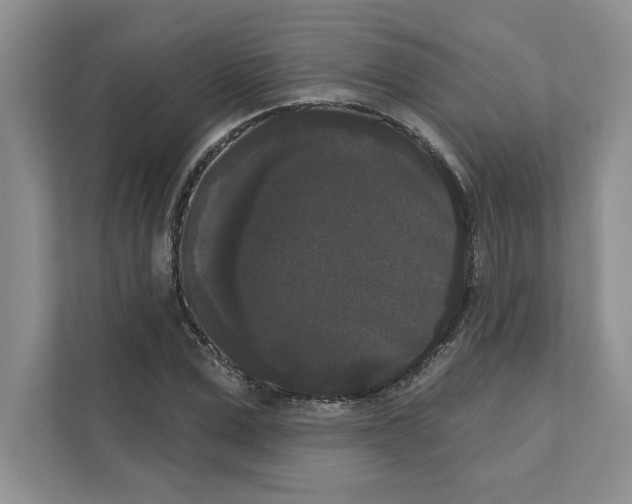 X0000111020975200907310928