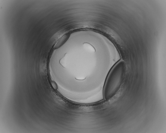 X0000111020977200907310928