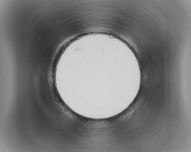 X0000111020979200907310928