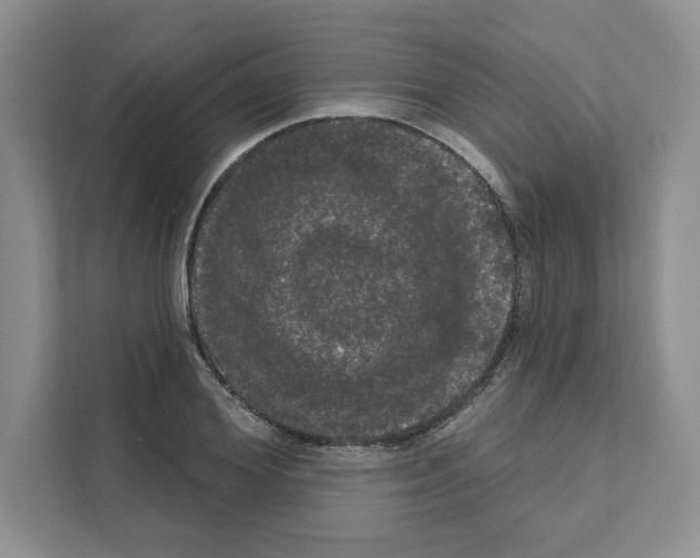 X0000111020980200907310928