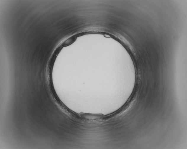 X0000111020981200907310928