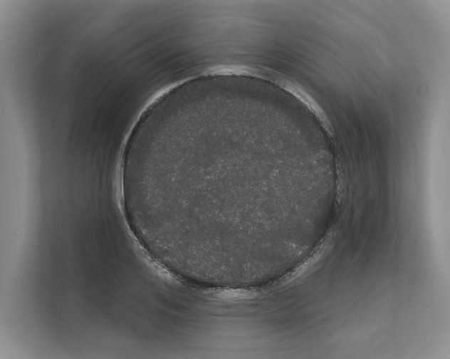 X0000111020984200907310928
