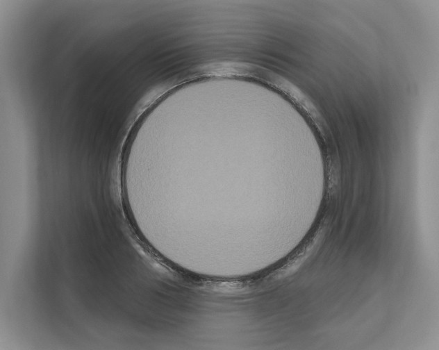X0000111020986200907310928