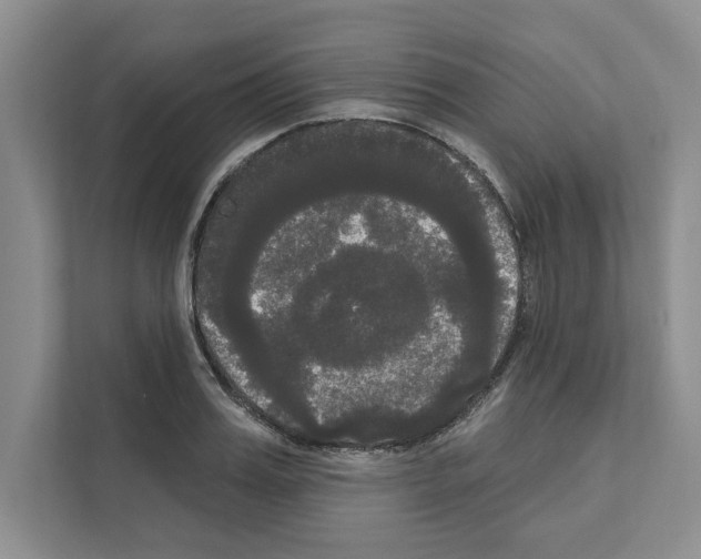 X0000111020987200907310928