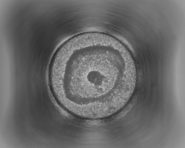 X0000111020991200907310928