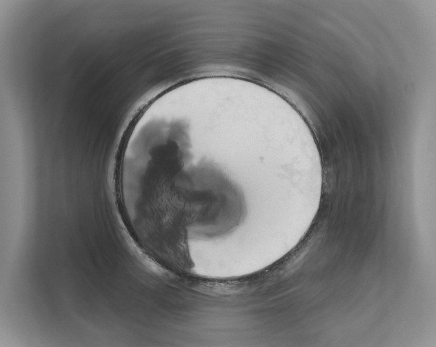 X0000111020995200907310928