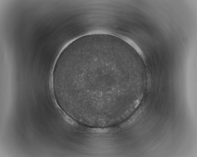 X0000111020996200907310928
