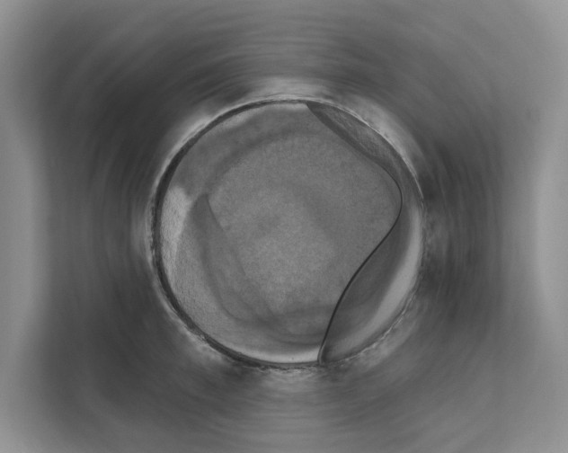 X0000111020997200907310928