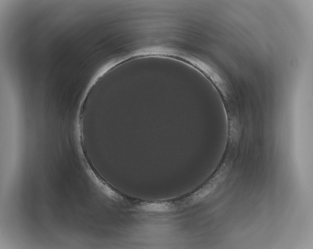 X0000111020998200907310928