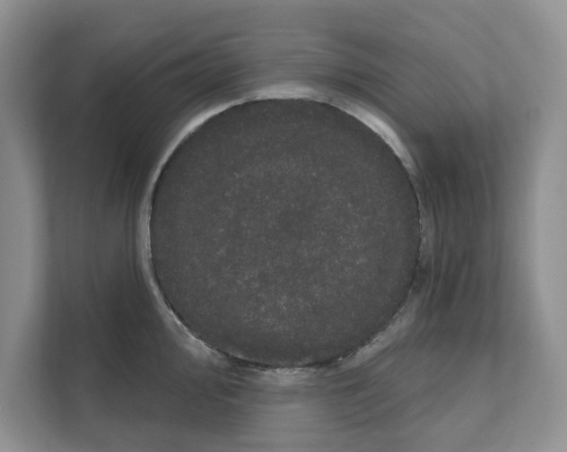 X0000111021000200907310928