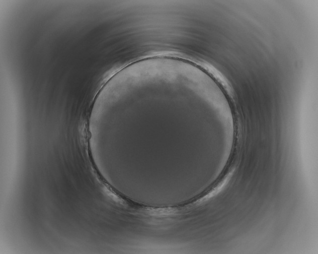 X0000111021001200907310928