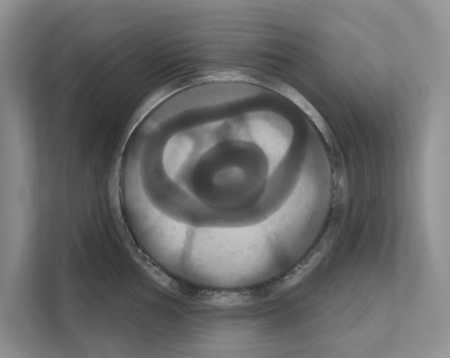 X0000111021002200907310928