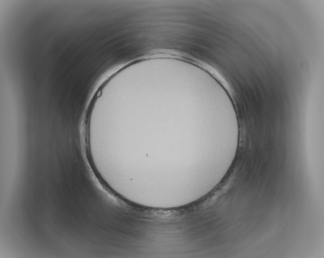 X0000111021003200907310928