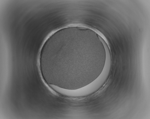 X0000111021005200907310928