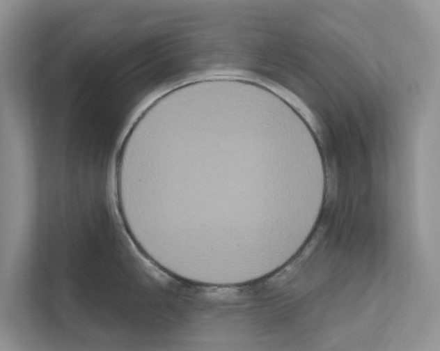 X0000111021006200907310928