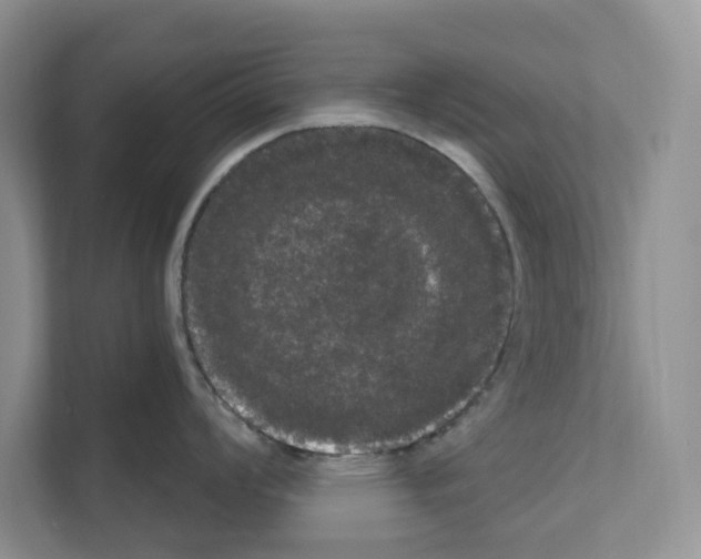 X0000111021008200907310928