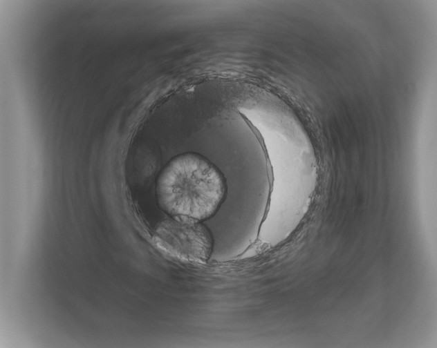 X0000111021009200907310927