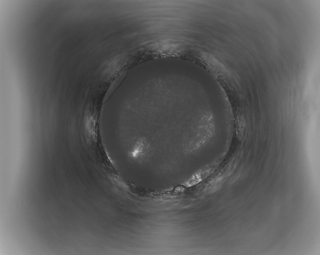 X0000111021010200907310927