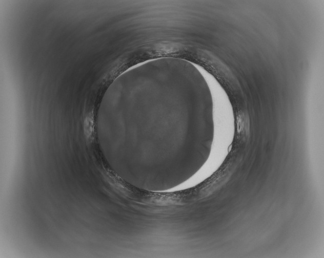 X0000111021011200907310927