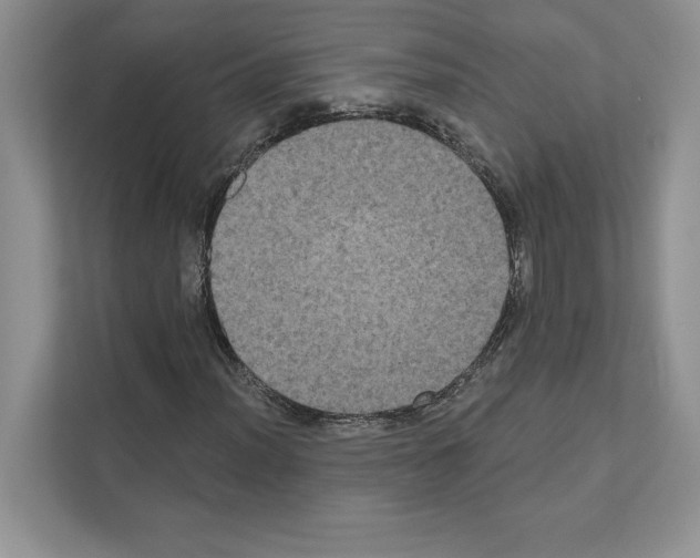 X0000111021012200907310927