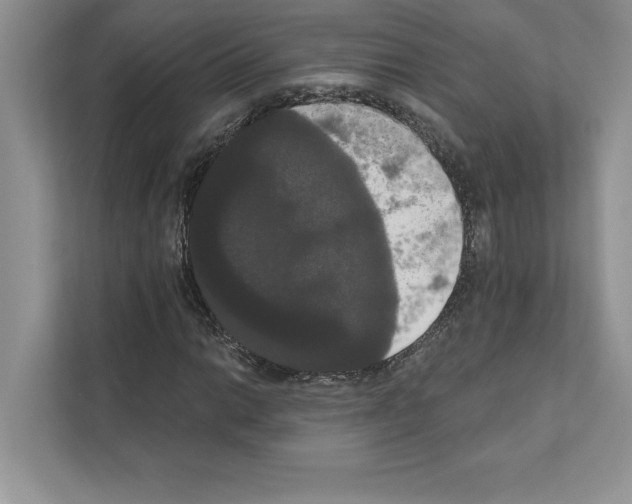 X0000111021014200907310927