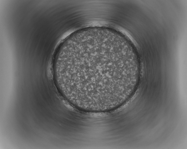 X0000111021018200907310927