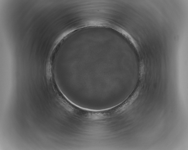 X0000111021019200907310927